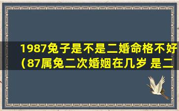 1987兔子是不是二婚命格不好（87属兔二次婚姻在几岁 是二婚命吗）